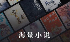 抄小说app有哪些（可以抄小说的APP排行榜）缩略图