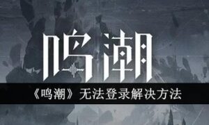 鸣潮无法登录怎么办（鸣潮无法登录解决方法）缩略图