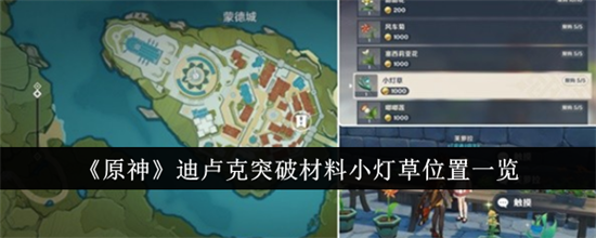 原神小灯草在哪里采集（原神小灯草位置及采集路线图大全）插图