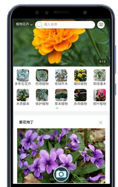 识别花的app有哪些（好用的识别花软件下载）插图1