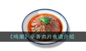 鸣潮辛香肉片食谱怎么样（辛香肉片食谱介绍）缩略图