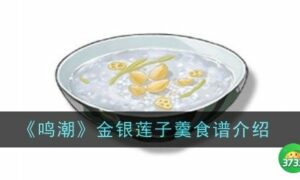 鸣潮金银莲子羹食谱怎么样（金银莲子羹食谱介绍）缩略图