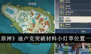 原神小灯草在哪里采集（原神小灯草位置及采集路线图大全）缩略图