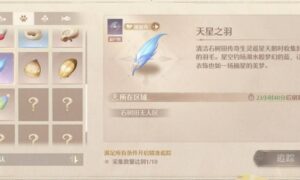 无限暖暖天星之羽获取攻略（无限暖暖天星之羽如何获取）缩略图