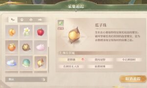 无限暖暖瓜子珠收集方法（无限暖暖瓜子珠在哪）缩略图